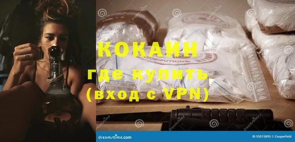прущие грибы Аркадак