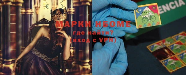 прущие грибы Аркадак