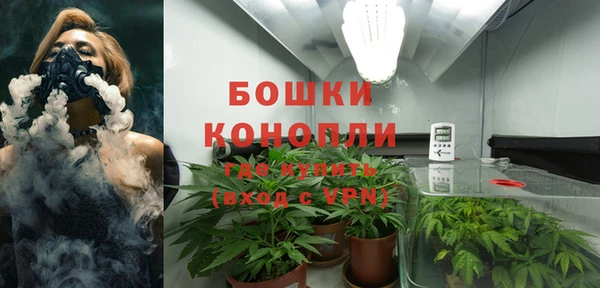 каннабис Арсеньев