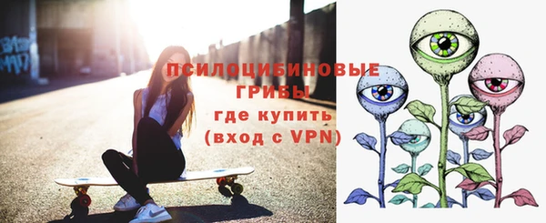 прущие грибы Аркадак