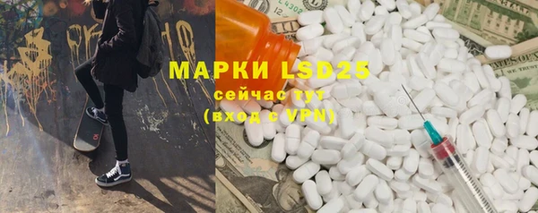 прущие грибы Аркадак