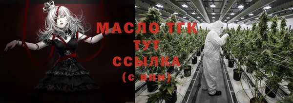 прущие грибы Аркадак