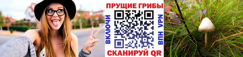 Псилоцибиновые грибы мухоморы  Новый Оскол 